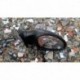 SEAT IBIZA III LUSTERKO PRAWE MANUALNE LS7W