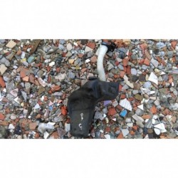 CITROEN C4 ZBIORNIK PŁYNU SPRYSKIWACZY