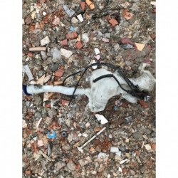 PEUGEOT 3008 ZBIORNIK PŁYNU SPRYSKIWACZ