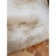 ZBIORNIK SPRYSKIWACZ RENAULT CLIO II FL 7700847815