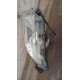 OPEL INSIGNIA A HALOGEN PRAWY 13226829