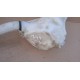 CITROEN C3I FL ZBIORNIK SPRYSKIWACZA 1.4B