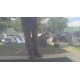 AUDI A4 B8 MASKA LZ9Y