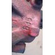 AUDI TT 8N FL ZACISK HAMULCOWY 1.8T