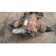DYFER MOST BMW E87 7566223-01 2.79