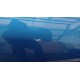 RENAULT MEGANE III 5D DRZWI PRZÓD PRAWY TERNA