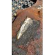 DYFER MOST BMW E53 X5 7510659/E2445N 3.73