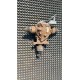 DYFER MOST BMW E53 X5 E2637R 3.73