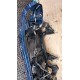 OPEL ASTRA H LIFT 1.7D PAS PRZEDNI KOMPLET Z21B