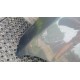 OPEL INSIGNIA A MASKA Z177