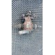 DYFER MOST BMW E87 E90 E91 7524325-06/SAP82S 3.91