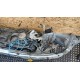 OPEL ASTRA H LIFT 1.6B PAS PRZEDNI KOMPLET Z157