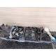 BMW 3 E46 LIFT 2.2B PAS PRZEDNI KOMPLET