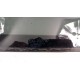 ????HONDA ODYSSEY III 2004-2007 SZYBA DRZWI PRZÓD LEWY