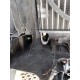 SEAT IBIZA 6J HB 1.4B PAS PRZEDNI KOMPLET MANUAL