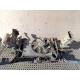 FORD FUSION MK1 LIFT 1.4B PAS PRZEDNI KOMPLET MANUAL BRAK
