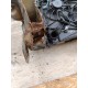 OPEL ANTARA 2.0 CDTI PAS PRZEDNI KOMPLET 92U