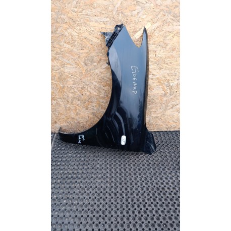 HYUNDAI SANTA FE II BŁOTNIK PRZÓD LEWY EB