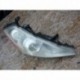 LAMPA PRAWA PRZEDNIA PRZÓD XENON MURANO Z50