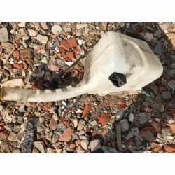 FORD FIESTA MK6 ZBIORNIK ZBIORNICZEK SPRYSKIWACZY